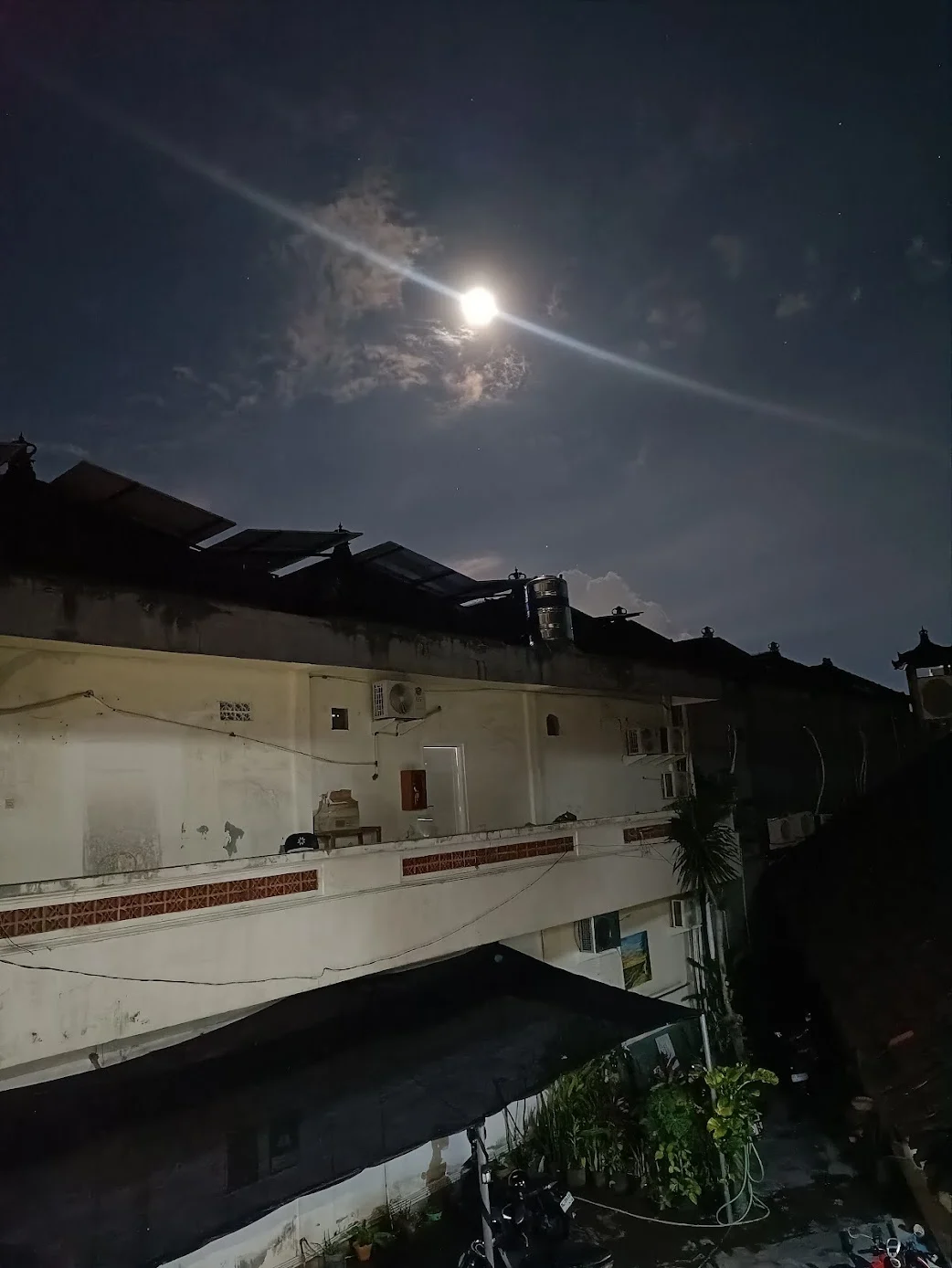 Pink Moon